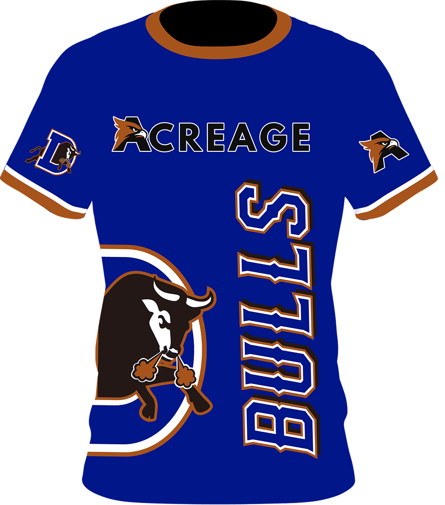 Bulls T-Shirt
